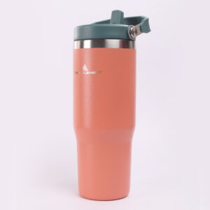 RAW ELEMENT 18/8 Stainless Steel Insulated Water Bottle | Double-Wall Vacuum Flask with Flip Straw Lid | Leak-Proof, BPA-Free, Dishwasher Safe | 24H Cold, 6H Hot | 1L Bottle for Travel & Gym - Image 5